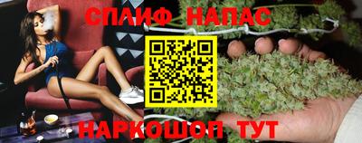 мдпв Можга